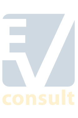 EV CONSULT